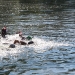 img_1074.jpg