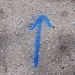 lauf07_4.jpg