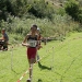lauf_08_23.jpg
