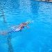 img_0142_2.jpg